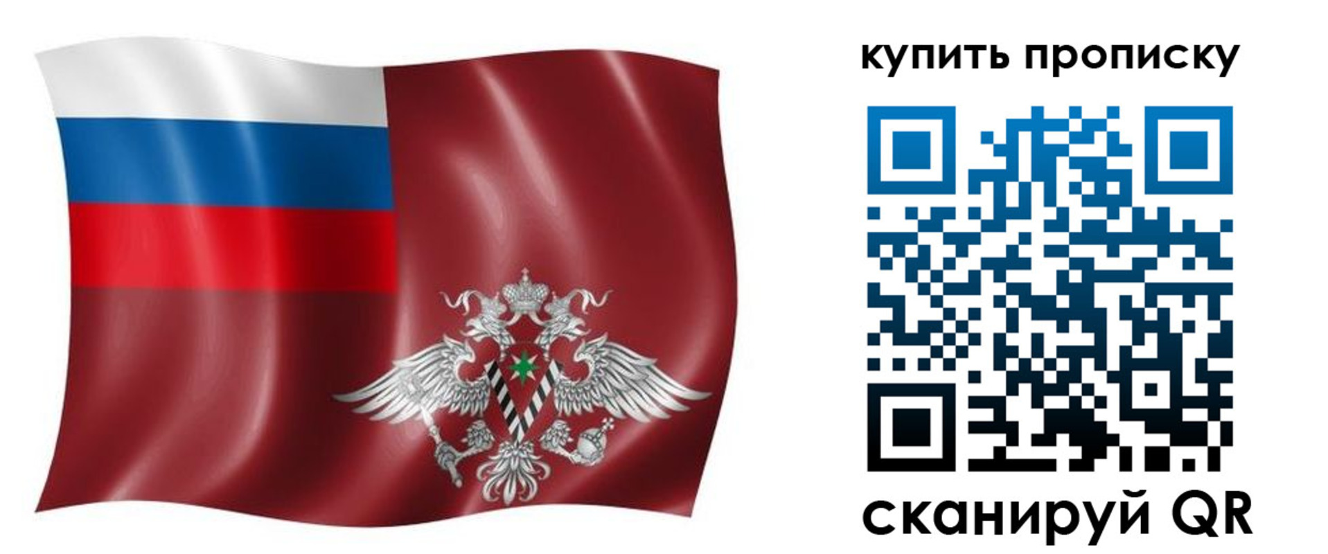 прописка поиск в Владимирской области